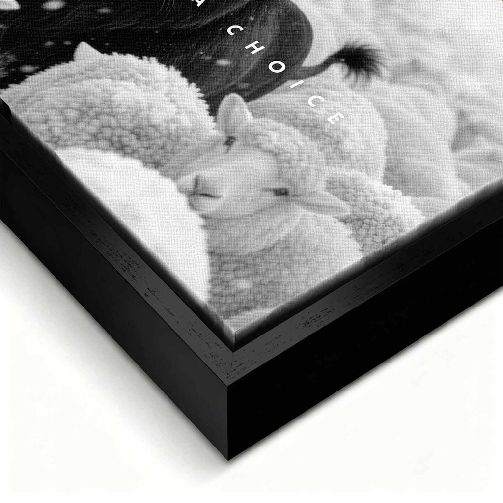 Motywacyjny obraz z Lwem na płótnie Lion Dominance – czarny lew wśród białych owiec z napisem „Dominance Is a Choice”, symbol siły i przywództwa.