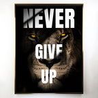 Never Give Up