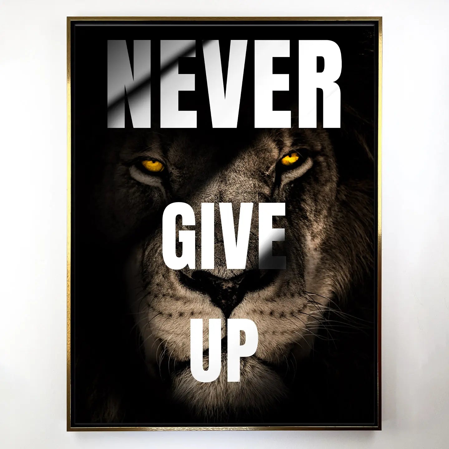 Never Give Up