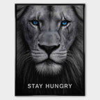 motywacyjny obraz na płótnie stay hungry z lwem