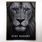 Stay Hungry