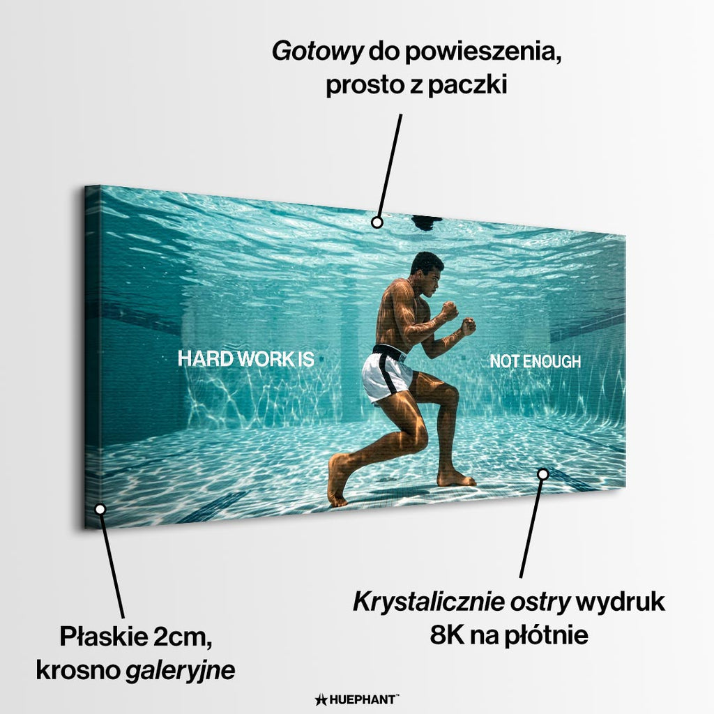 Obraz Hard Work Is Not Enough – informacje o wykonaniu – Huephant