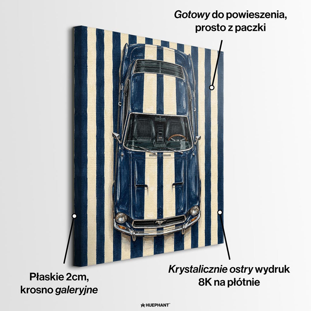 Obraz Midnight Thunder – informacje o wykonaniu – Huephant