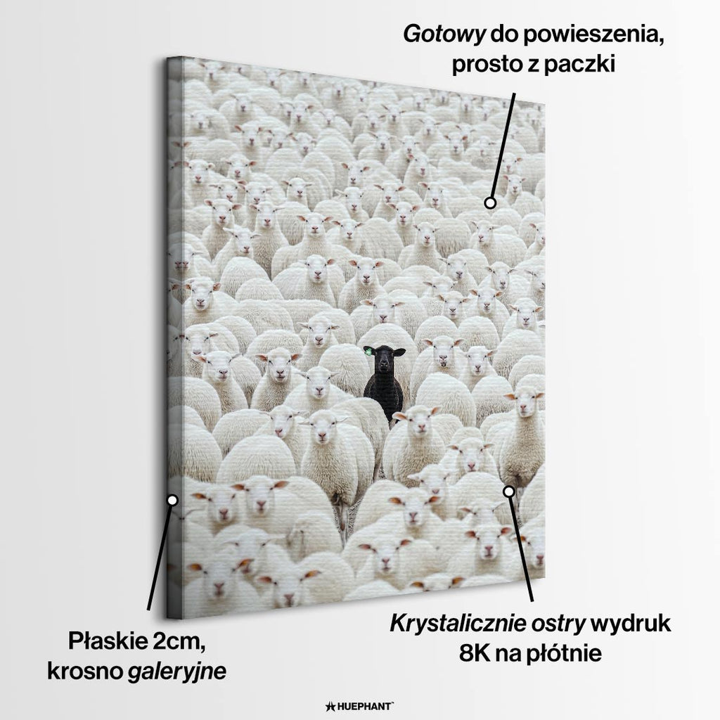 Obraz na płótnie czarna owca pośród białego stada, sztuka nowoczesna, wydruk galeryjny symbolizujący unikalność i pewność siebie, styl minimalistyczny.