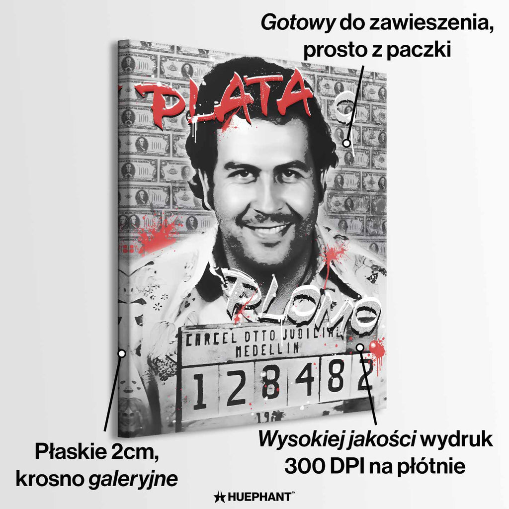 Obraz na płótnie Pablo Plata o Plomo z Pablem Escobarem na tle banknotów, w stylu street-art i pop-art.