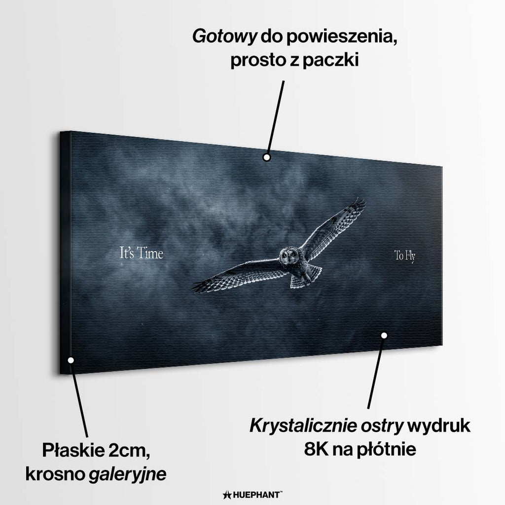 Nowoczesny motywacyjny obraz na płótnie przedstawiający sowę w locie na ciemnym tle z napisem It's Time To Fly, wydruk galeryjny czarno-biały.