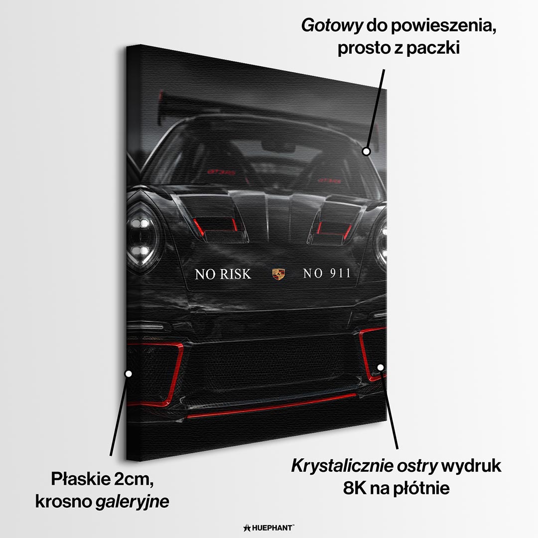 Obraz No Risk Black Racer – informacje o wykonaniu – Huephant