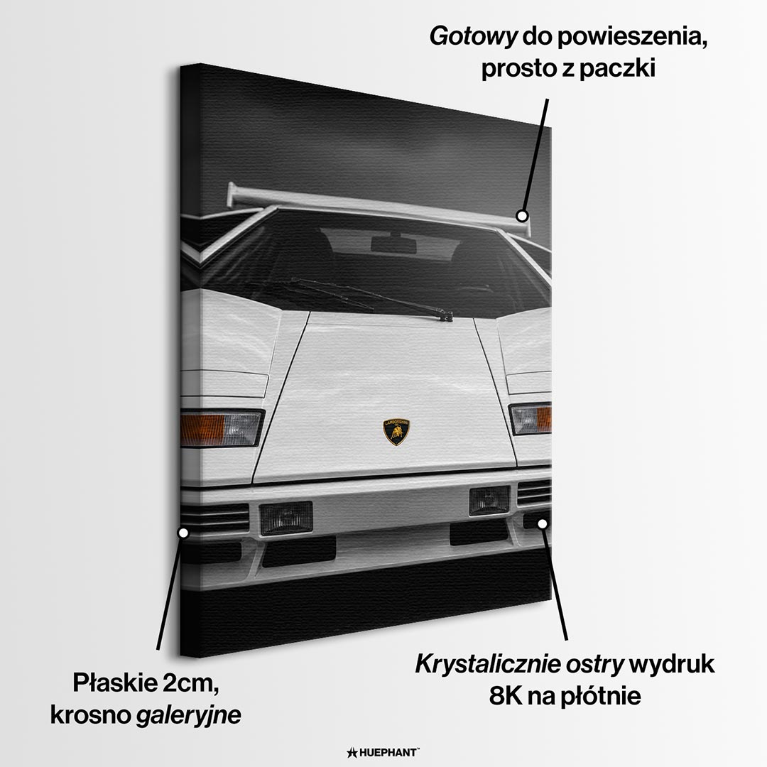 Obraz White Wedge – informacje o wykonaniu – Huephant