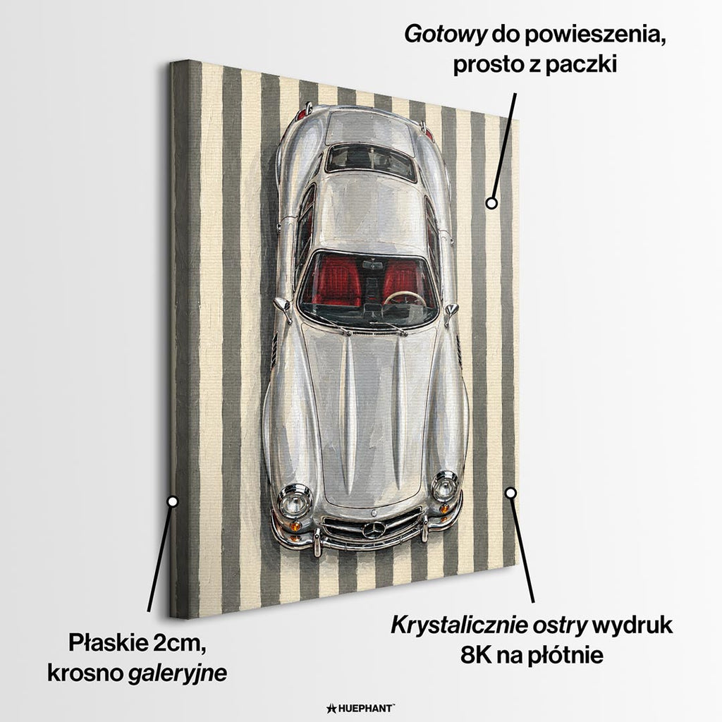 Obraz Silver Reverie – informacje o wykonaniu – Huephant