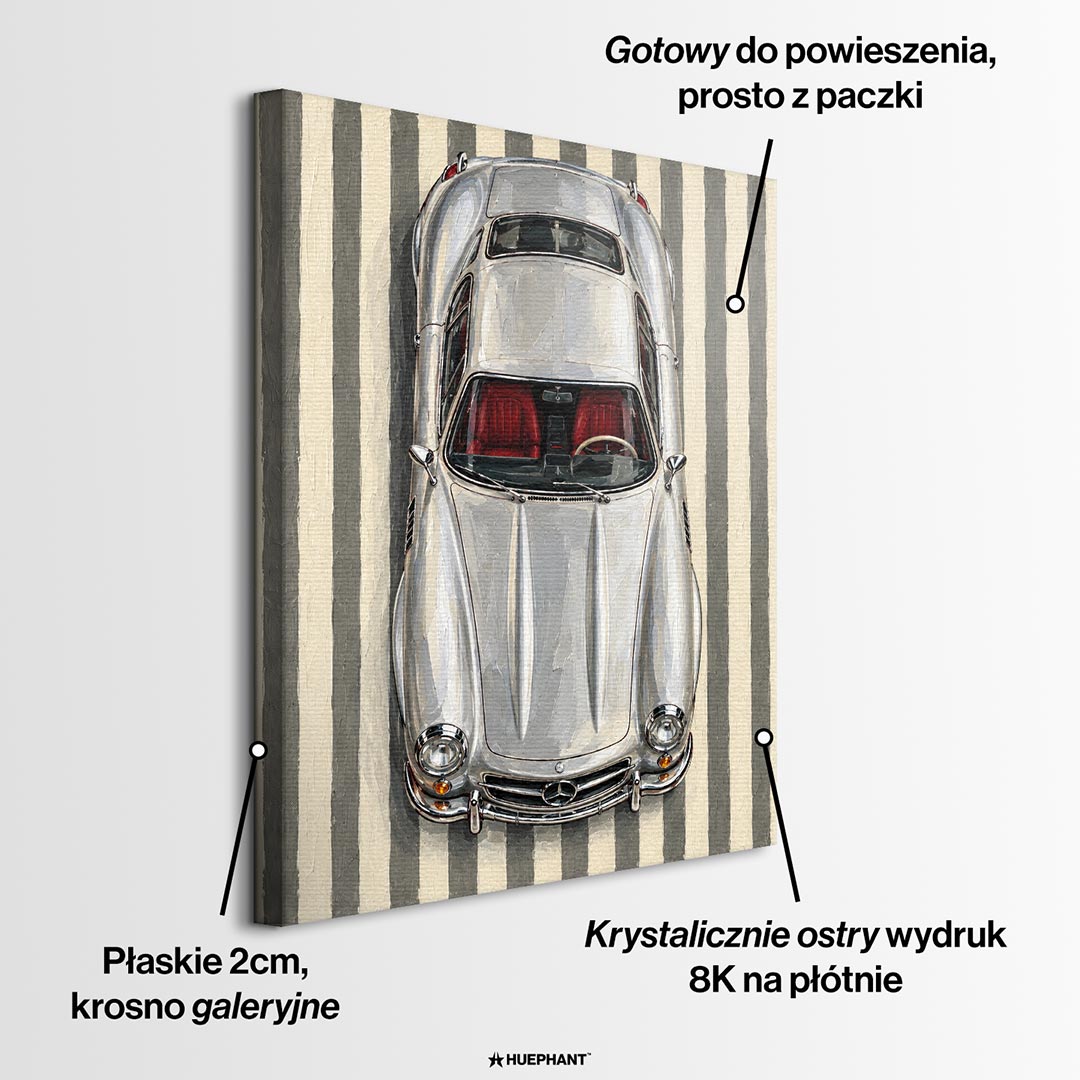 Obraz Silver Reverie – informacje o wykonaniu – Huephant