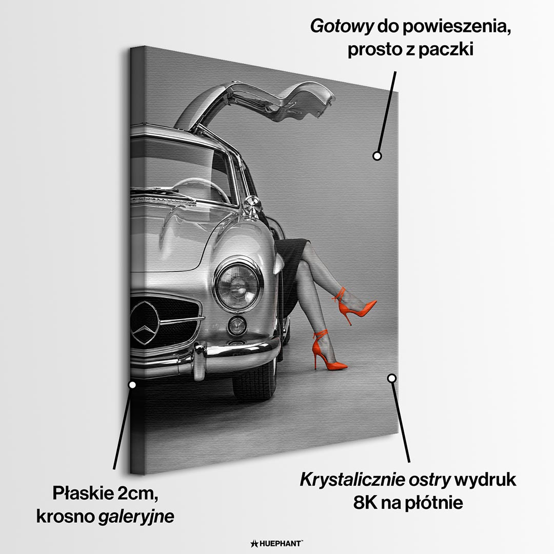 Obraz The Princess Passenger – informacje o wykonaniu – Huephant