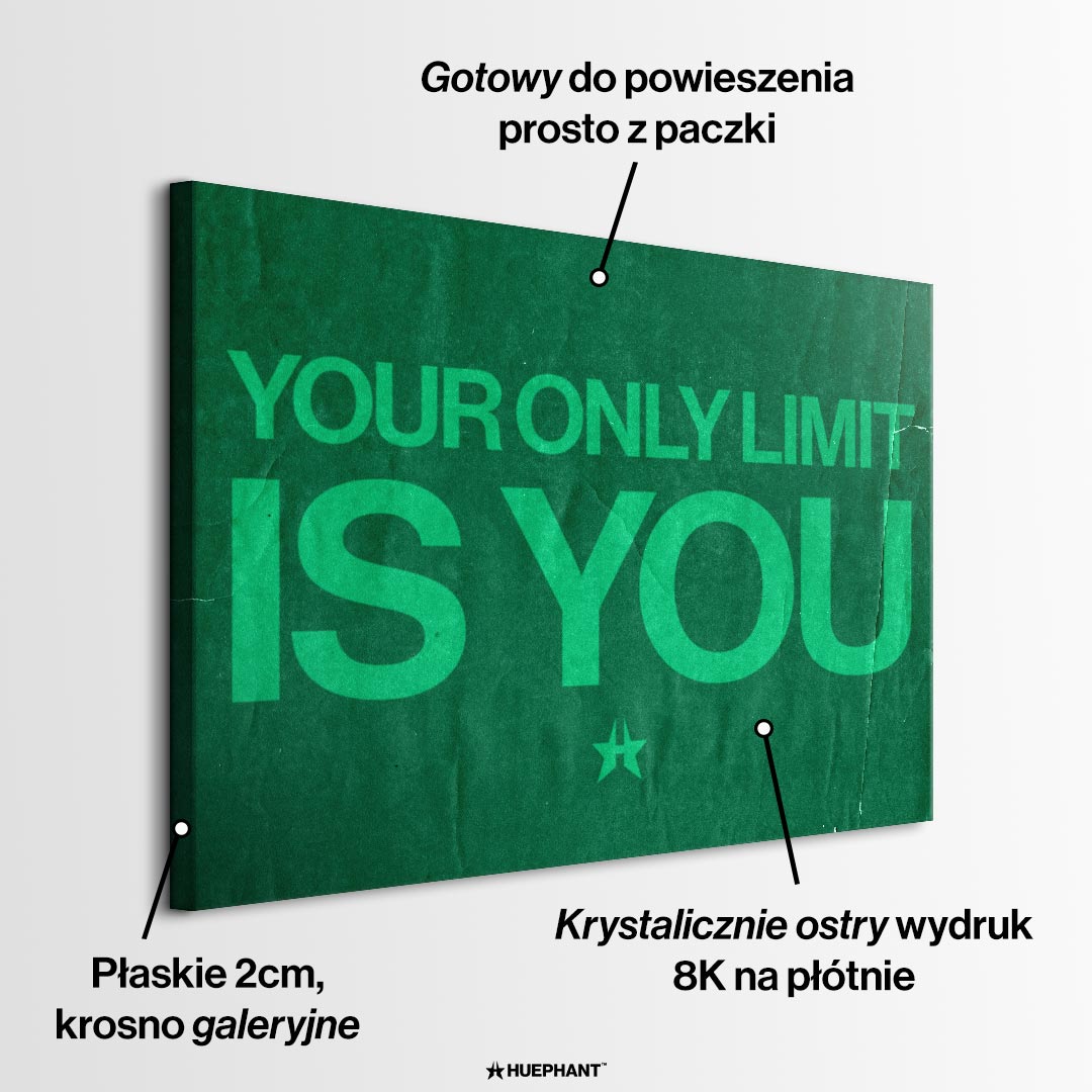 Obraz Your Only Limit Is You – informacje o wykonaniu – Huephant