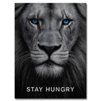 motywacyjny obraz na płótnie stay hungry z lwem