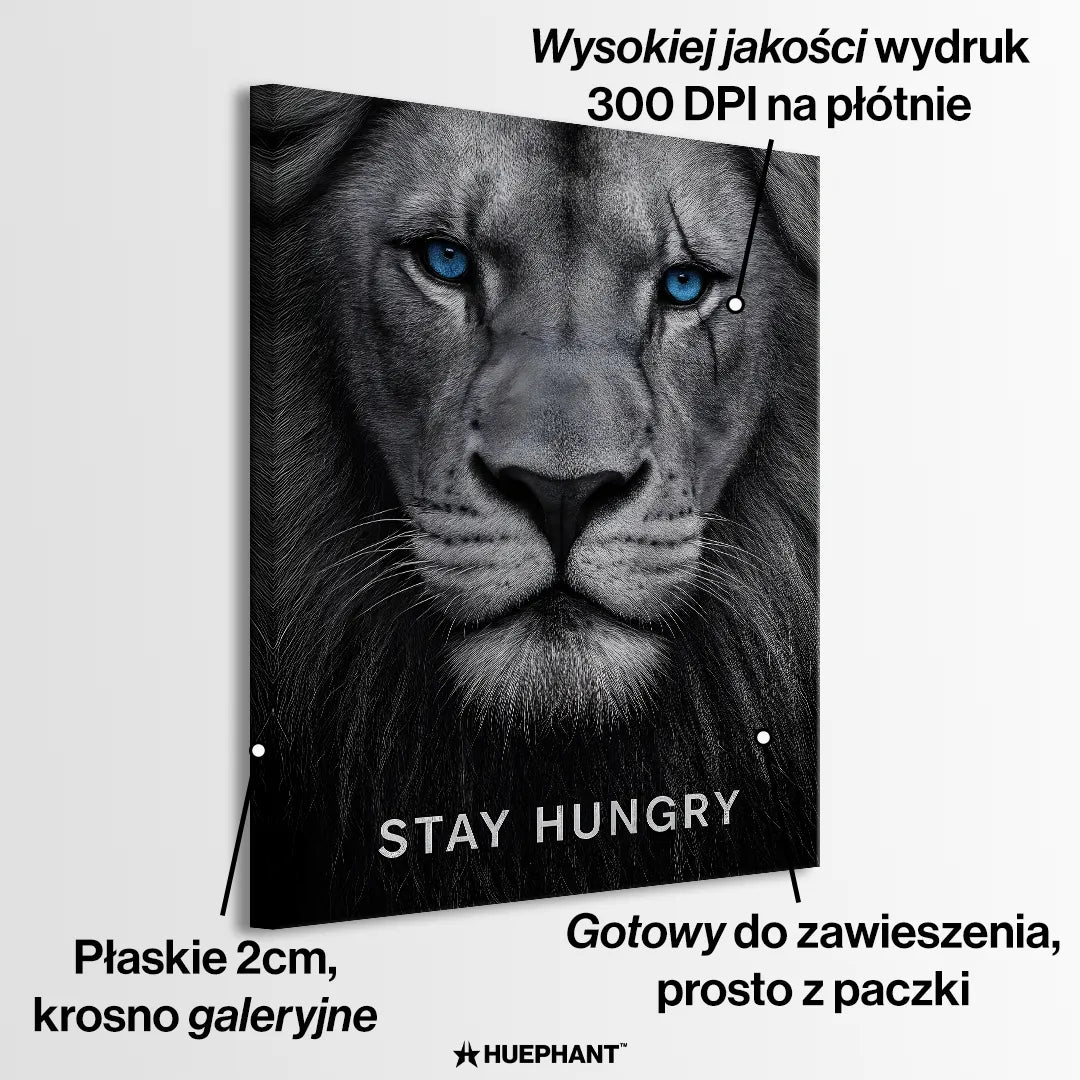 motywacyjny obraz na płótnie stay hungry z lwem