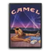 poster plakat camel night vibes retro